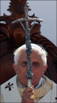 medium_papa2.jpg
